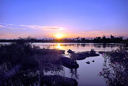 羅東林業文化園區